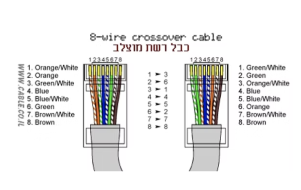 ⁦10 יחידות מחברים לכבל רשת CAT7/6 RG-45 כולל מוביל⁩ – תמונה ⁦4⁩